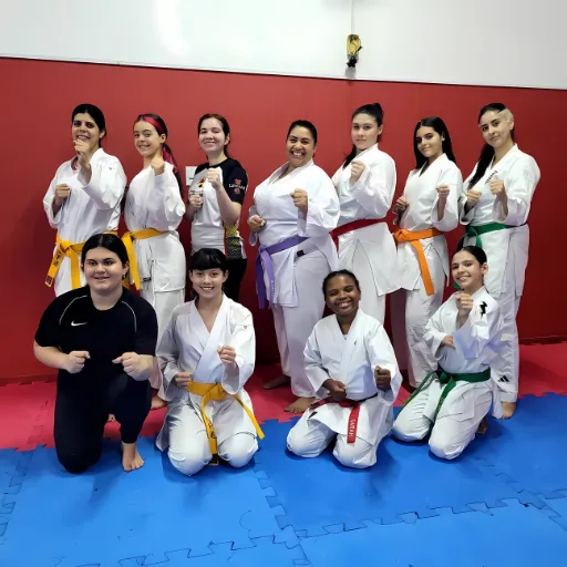 Karatê Bushido Kai Artes Marciais Sorocaba Sensei Claudinei (2)